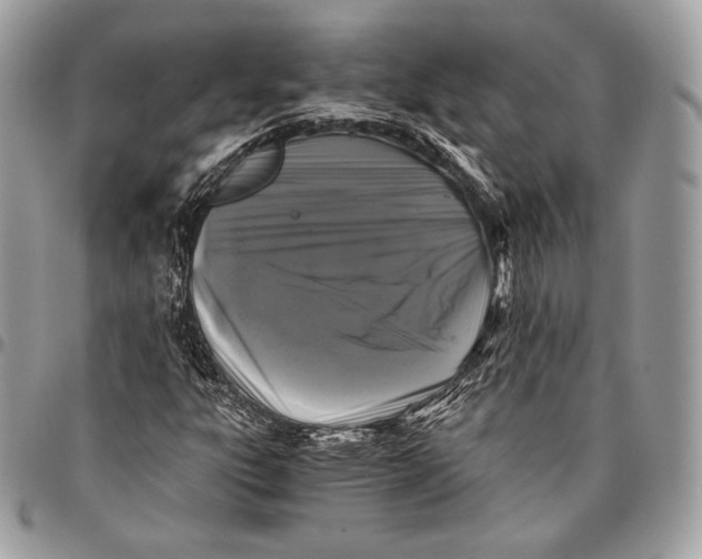 X0000096141303200802081339