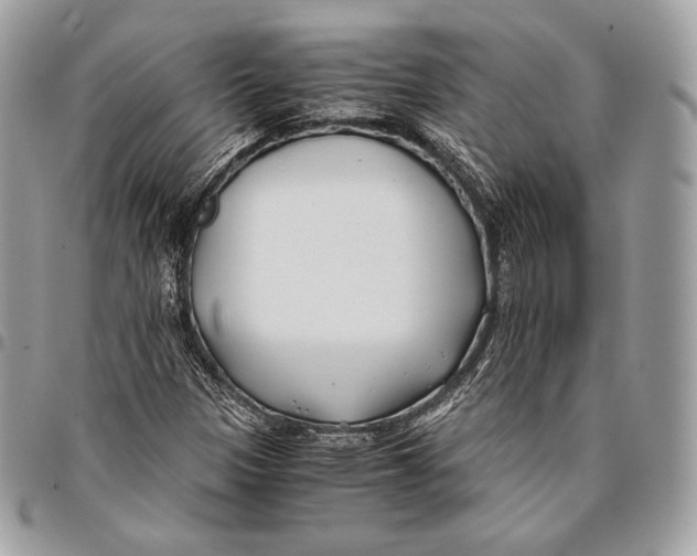 X0000096141305200802081339