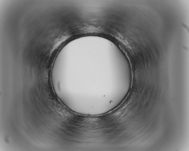 X0000096141309200802081339