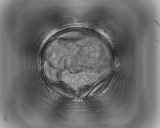 X0000096141310200802081339