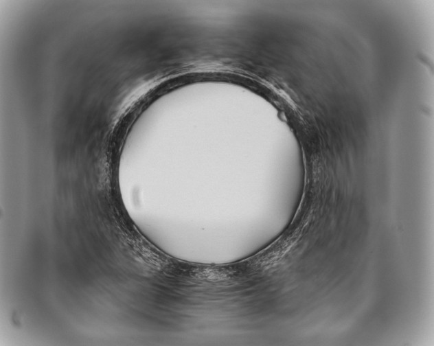 X0000096141311200802081339