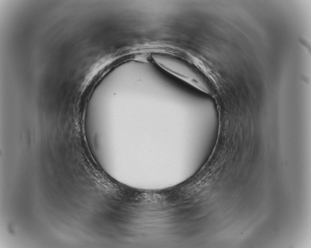 X0000096141312200802081339