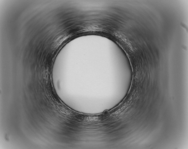 X0000096141313200802081339