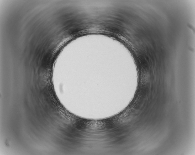 X0000096141314200802081339