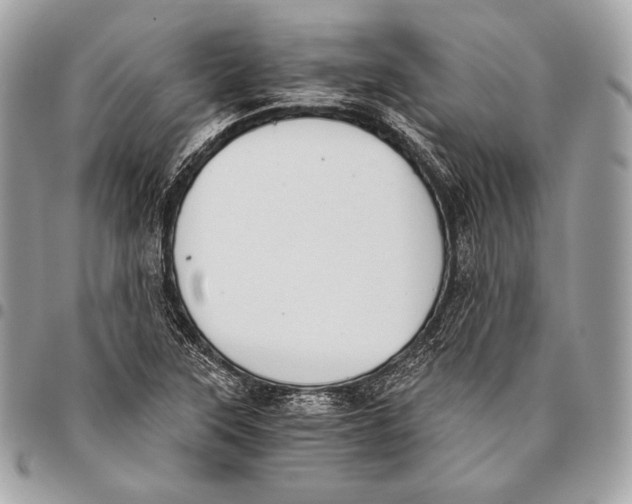 X0000096141315200802081339