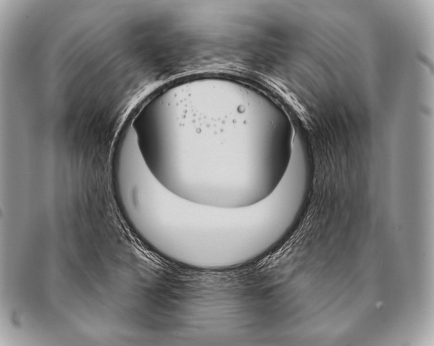 X0000096141316200802081339