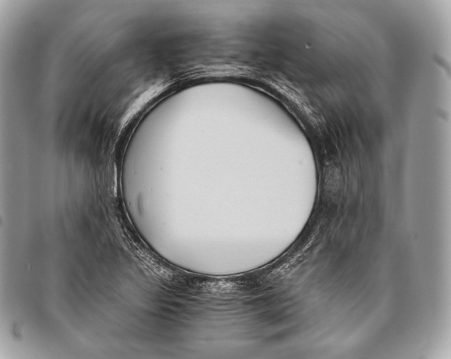 X0000096141317200802081339
