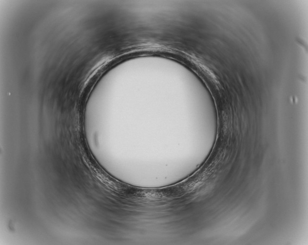 X0000096141318200802081339