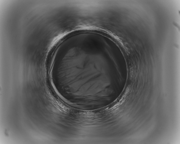X0000096141319200802081339