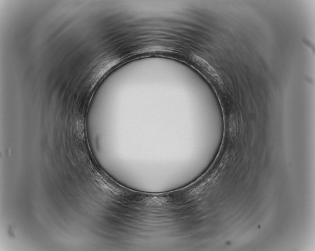X0000096141321200802081339