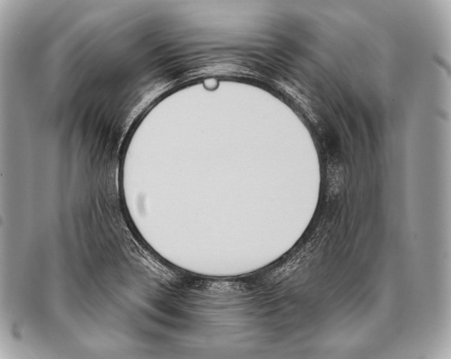 X0000096141322200802081339