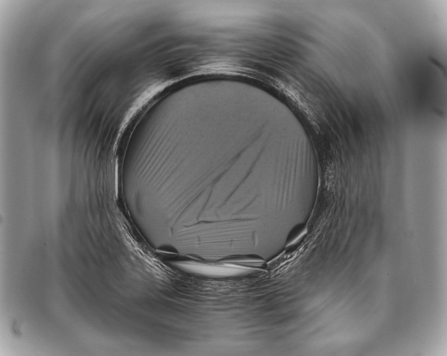 X0000096141323200802081339