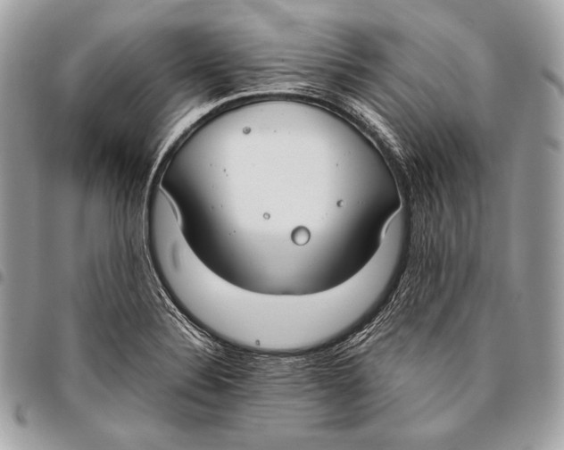 X0000096141324200802081339