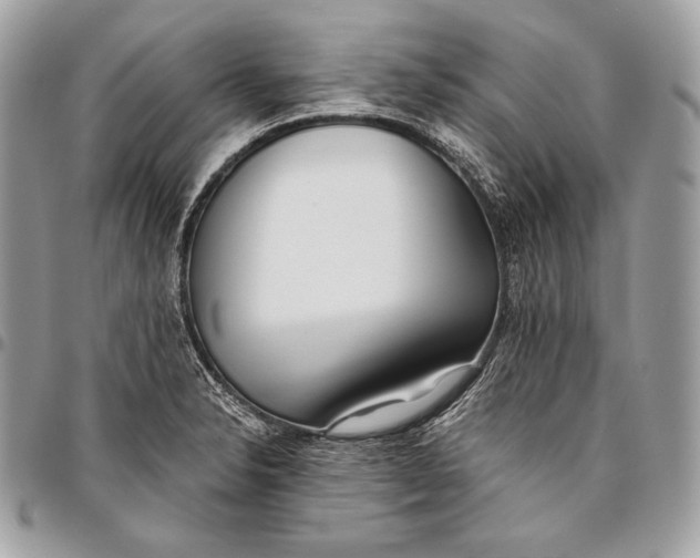 X0000096141326200802081339