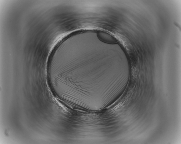 X0000096141327200802081339