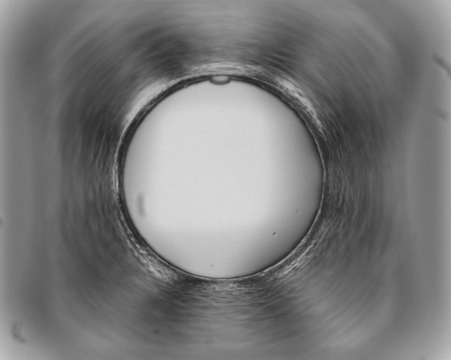 X0000096141328200802081339