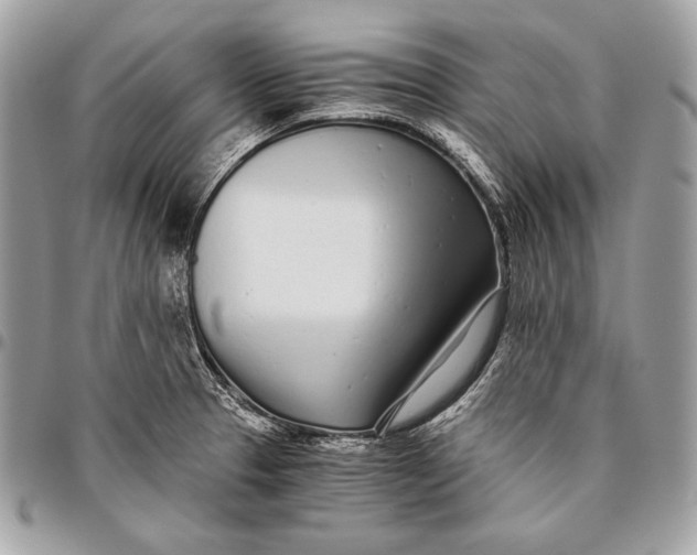 X0000096141329200802081339