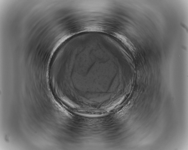 X0000096141331200802081339