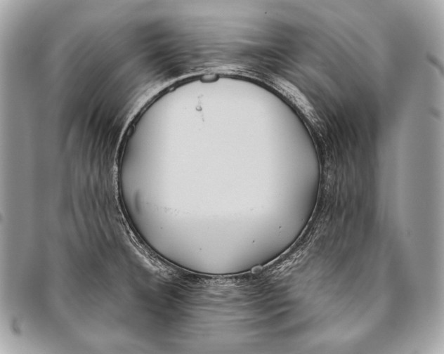 X0000096141332200802081339