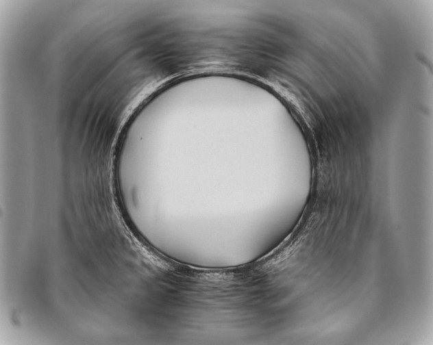 X0000096141333200802081339
