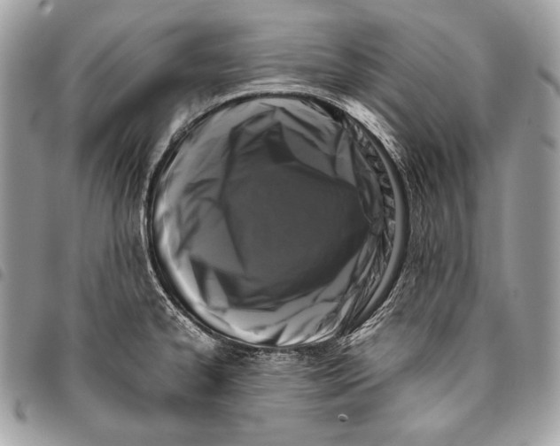 X0000096141334200802081339