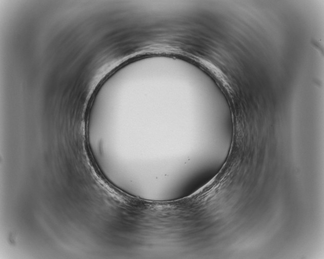 X0000096141335200802081339