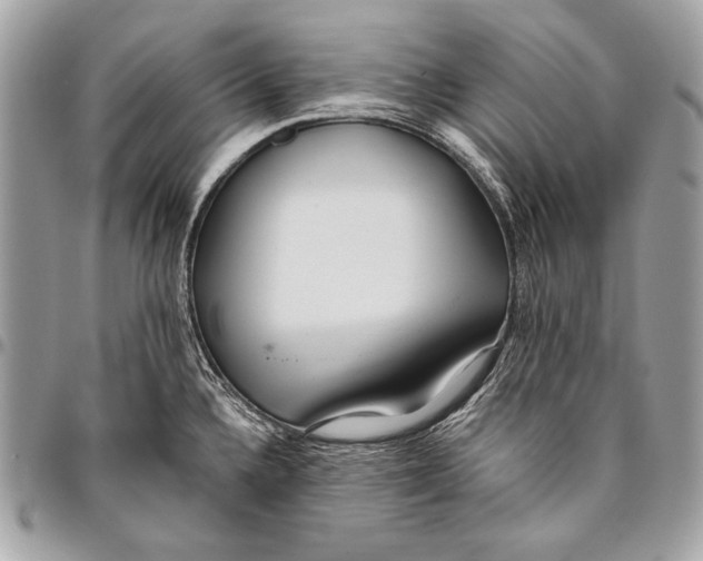 X0000096141336200802081339
