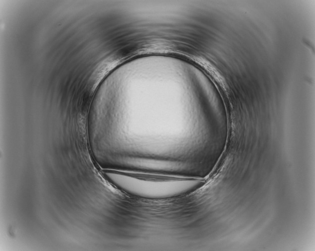 X0000096141337200802081339