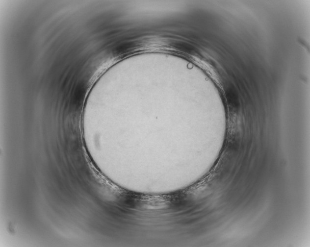 X0000096141338200802081339