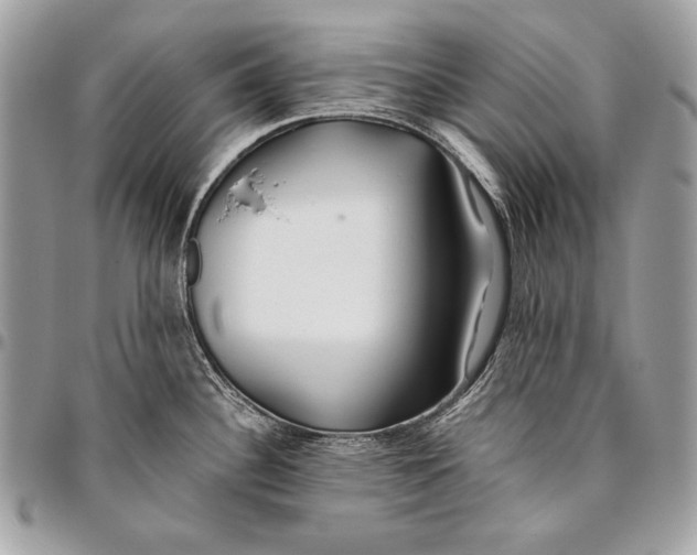X0000096141340200802081339