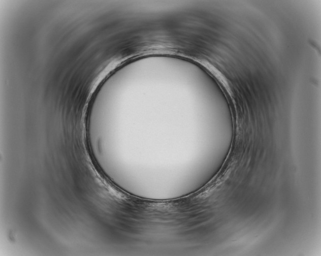 X0000096141341200802081339