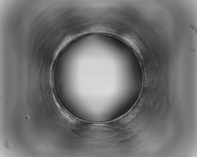 X0000096141342200802081339