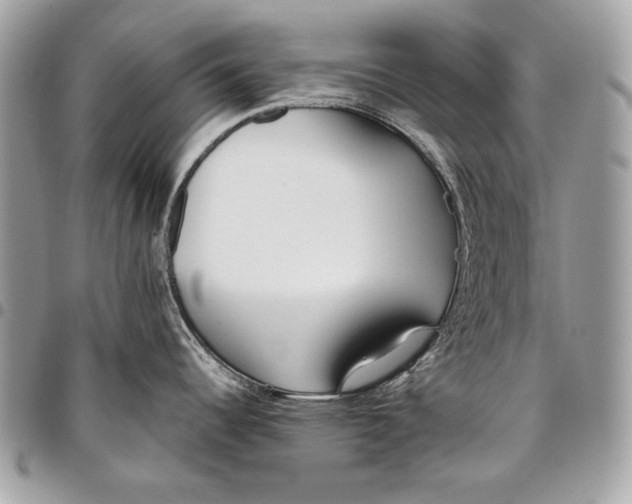 X0000096141344200802081339