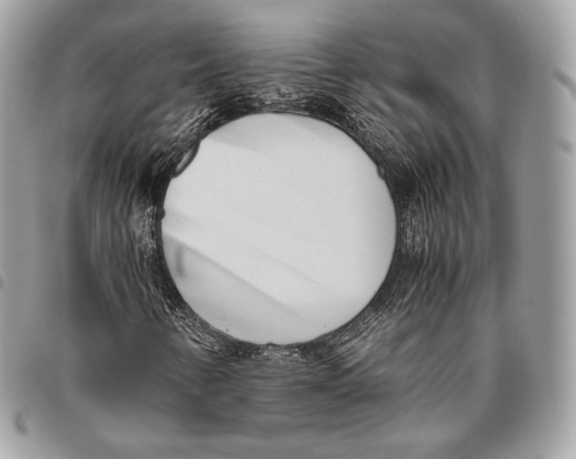 X0000096141346200802081338