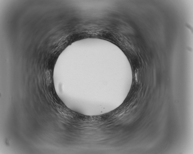 X0000096141347200802081338