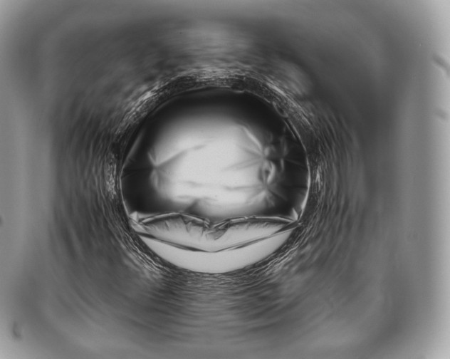 X0000096141348200802081338