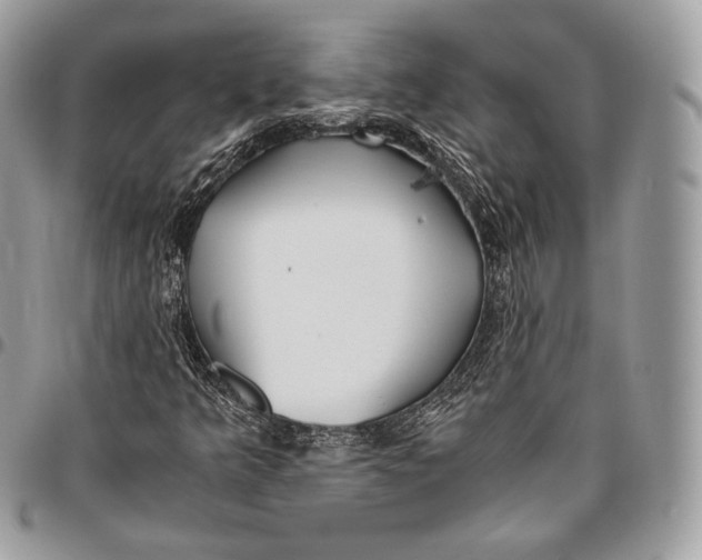 X0000096141349200802081338