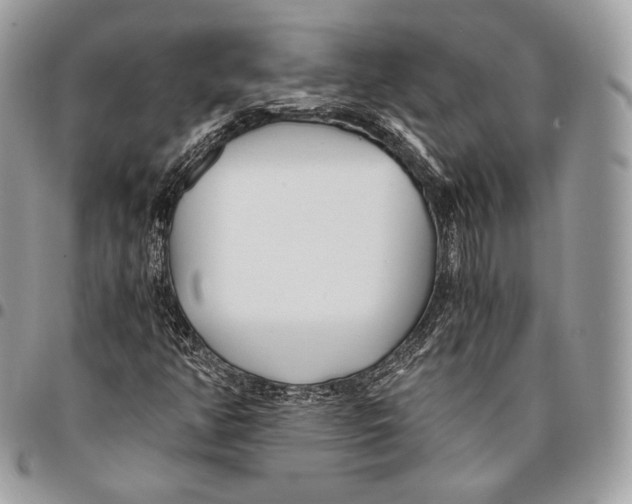 X0000096141350200802081338
