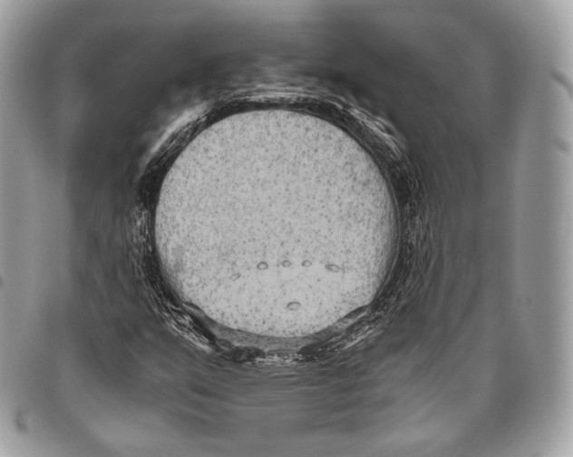 X0000096141351200802081338