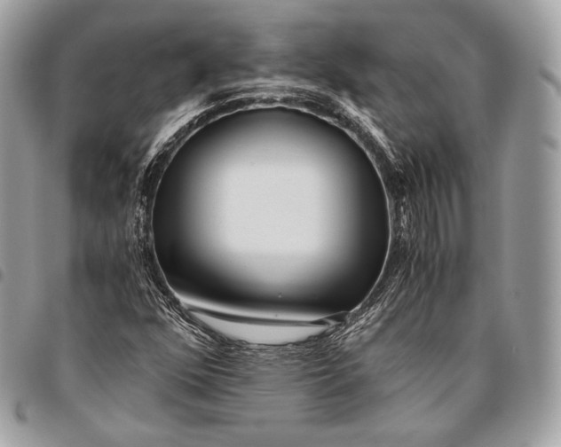 X0000096141352200802081338