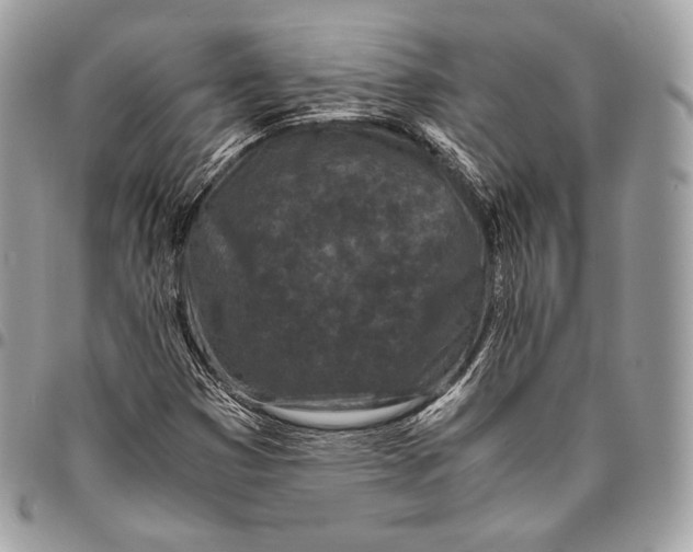 X0000096141353200802081338