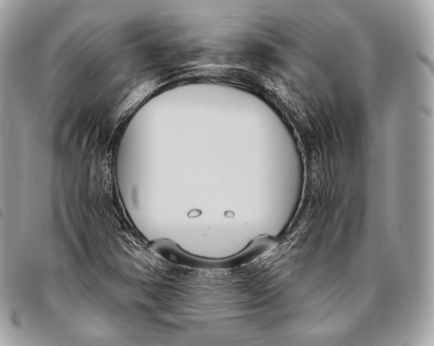 X0000096141354200802081338