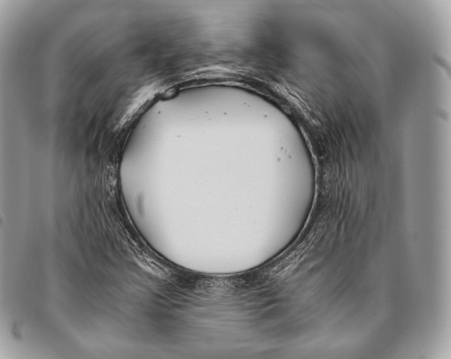 X0000096141355200802081338