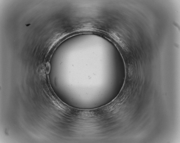 X0000096141356200802081338