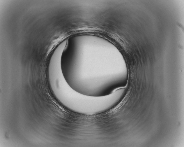 X0000096141357200802081338