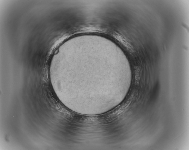 X0000096141358200802081338