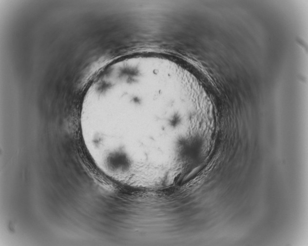 X0000096141359200802081338