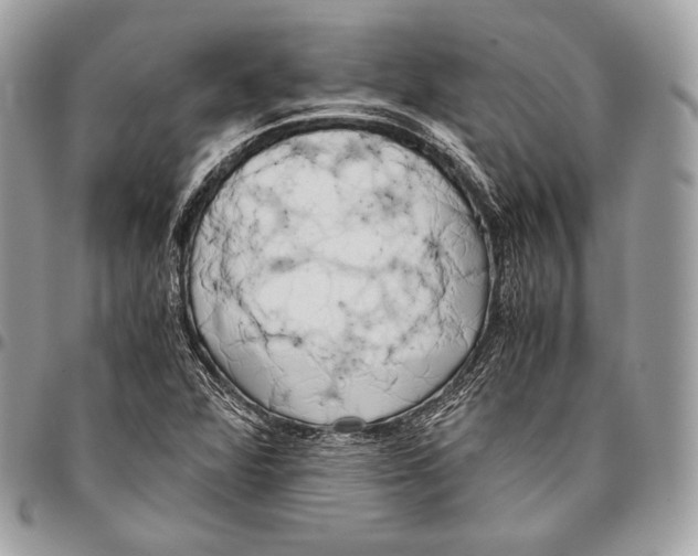 X0000096141360200802081338