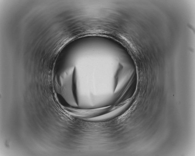 X0000096141361200802081338