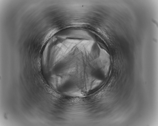X0000096141362200802081338